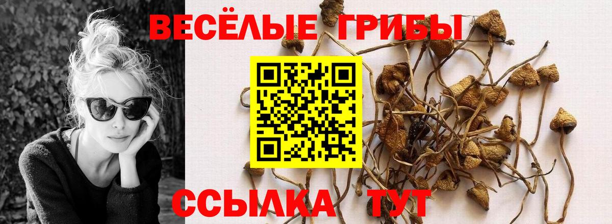 Псилоцибиновые грибы Magic Shrooms  Псилоцибиновые грибы прущие грибы  Вход с VPN  Бугуруслан 