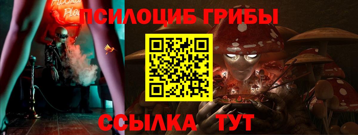 Галлюциногенные грибы мицелий Бугуруслан